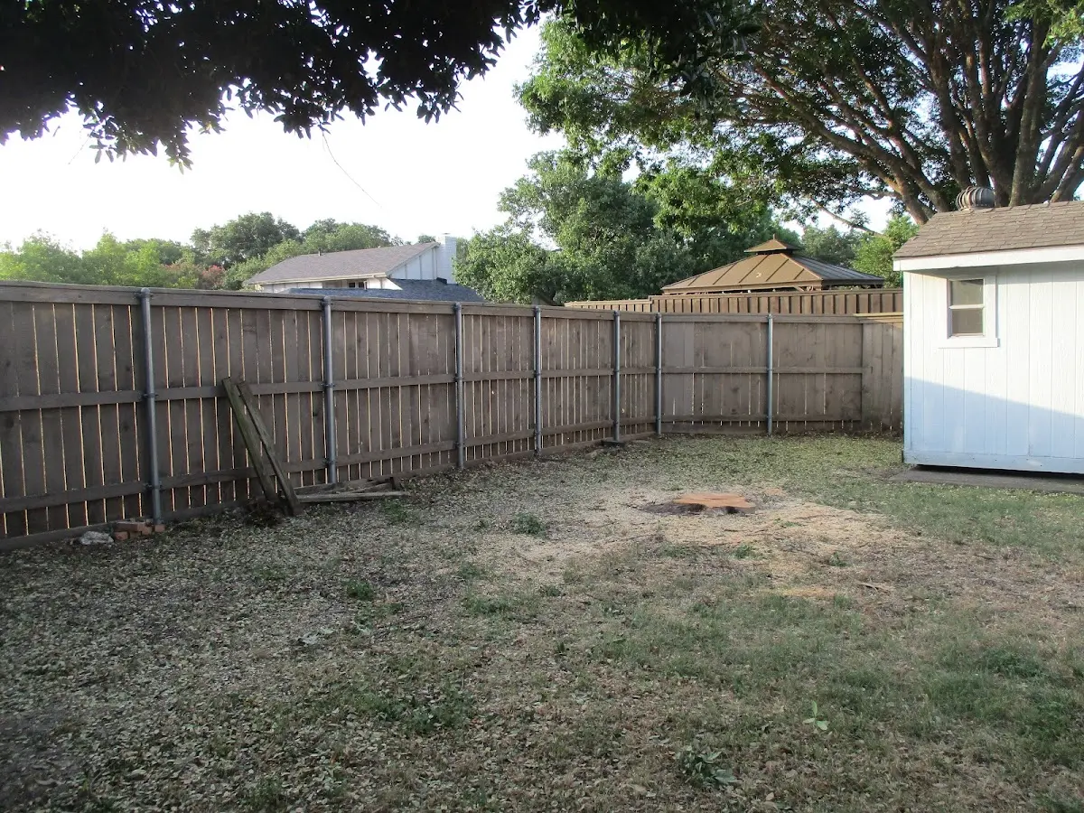 Cleared yard after professional tree removal in Parrottsville